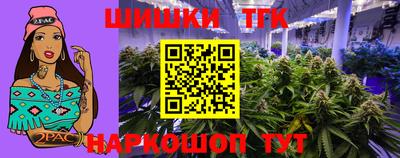 винт Сланцы