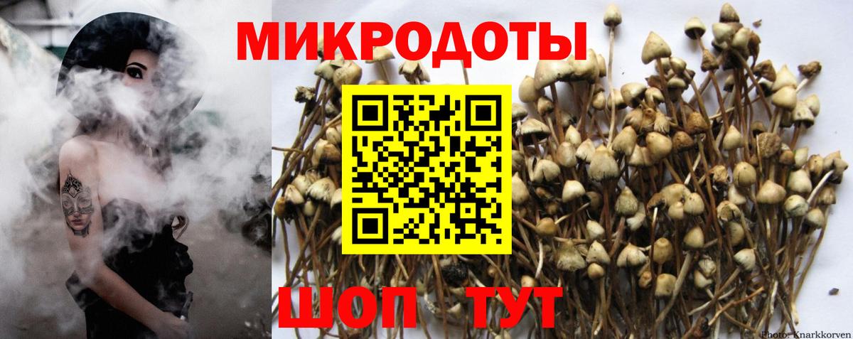 Можайск  Галлюциногенные грибы Cubensis  Псилоцибиновые грибы GOLDEN TEACHER  Вход с VPN 